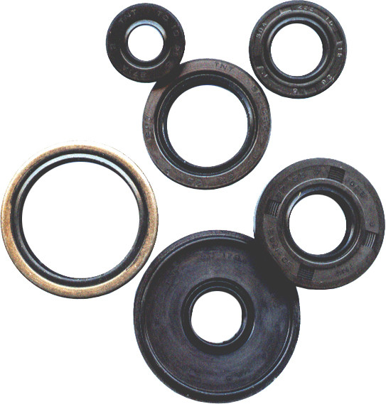 822111 WINDEROSA Комплект сальников (OIL SEAL SET)  182-2111 Western Power Sports купить